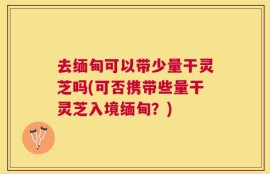 去缅甸可以带少量干灵芝吗(可否携带些量干灵芝入境缅甸？)