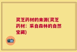 灵芝药材的来源(灵芝药材：采自森林的自然宝藏)