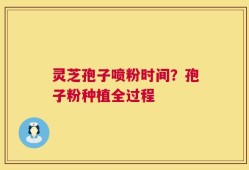 灵芝孢子喷粉时间？孢子粉种植全过程