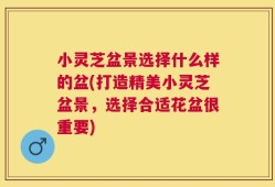 小灵芝盆景选择什么样的盆(打造精美小灵芝盆景，选择合适花盆很重要)