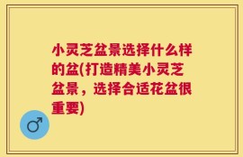 小灵芝盆景选择什么样的盆(打造精美小灵芝盆景，选择合适花盆很重要)