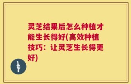 灵芝结果后怎么种植才能生长得好(高效种植技巧：让灵芝生长得更好)