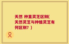 天然 种直灵芝区别(天然灵芝与种植灵芝有何区别？)