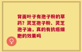 背面叶子有孢子粉的草药？灵芝孢子粉、灵芝孢子油，真的有抗癌细胞的效果吗