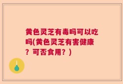 黄色灵芝有毒吗可以吃吗(黄色灵芝有害健康？可否食用？)
