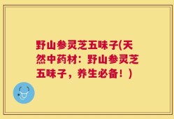 野山参灵芝五味子(天然中药材：野山参灵芝五味子，养生必备！)