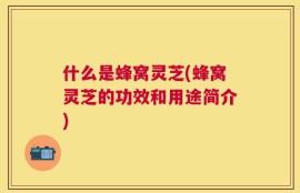 什么是蜂窝灵芝(蜂窝灵芝的功效和用途简介)