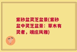 紫砂盆灵芝盆景(紫砂盆中灵芝盆景：草木有灵者，端庄风雅)
