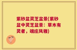紫砂盆灵芝盆景(紫砂盆中灵芝盆景：草木有灵者，端庄风雅)
