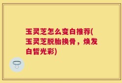 玉灵芝怎么变白推荐(玉灵芝脱胎换骨，焕发白皙光彩)