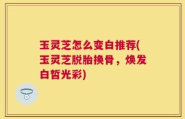 玉灵芝怎么变白推荐(玉灵芝脱胎换骨，焕发白皙光彩)