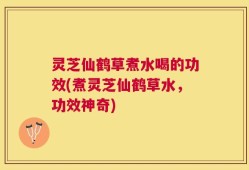 灵芝仙鹤草煮水喝的功效(煮灵芝仙鹤草水，功效神奇)