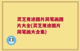 灵芝用途图片简笔画图片大全(灵芝用途图片简笔画大合集)
