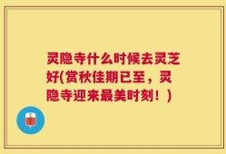 灵隐寺什么时候去灵芝好(赏秋佳期已至，灵隐寺迎来最美时刻！)