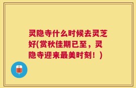 灵隐寺什么时候去灵芝好(赏秋佳期已至，灵隐寺迎来最美时刻！)