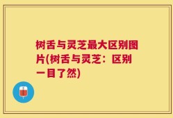 树舌与灵芝最大区别图片(树舌与灵芝：区别一目了然)