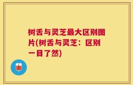 树舌与灵芝最大区别图片(树舌与灵芝：区别一目了然)