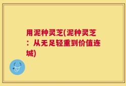 用泥种灵芝(泥种灵芝：从无足轻重到价值连城)