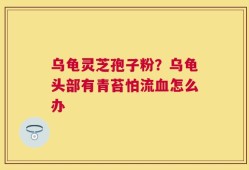 乌龟灵芝孢子粉？乌龟头部有青苔怕流血怎么办