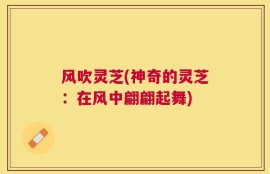 风吹灵芝(神奇的灵芝：在风中翩翩起舞)
