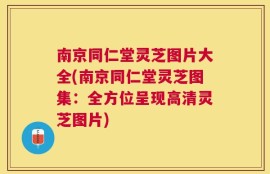 南京同仁堂灵芝图片大全(南京同仁堂灵芝图集：全方位呈现高清灵芝图片)