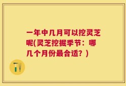 一年中几月可以挖灵芝呢(灵芝挖掘季节：哪几个月份最合适？)