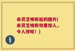 赤灵芝喷粉后的图片(赤灵芝喷粉效果惊人，令人惊叹！)