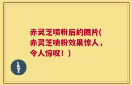 赤灵芝喷粉后的图片(赤灵芝喷粉效果惊人，令人惊叹！)
