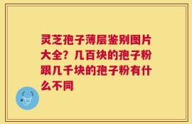 灵芝孢子薄层鉴别图片大全？几百块的孢子粉跟几千块的孢子粉有什么不同