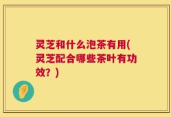 灵芝和什么泡茶有用(灵芝配合哪些茶叶有功效？)