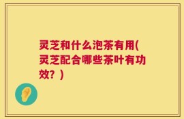 灵芝和什么泡茶有用(灵芝配合哪些茶叶有功效？)