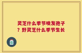 灵芝什么季节喷发孢子？野灵芝什么季节生长