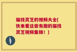 猫找灵芝的视频大全(快来看这些有趣的猫找灵芝视频集锦！)
