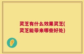 灵芝有什么效果灵芝(灵芝能带来哪些好处)