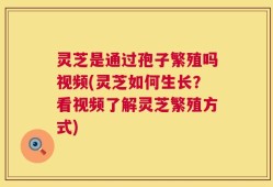 灵芝是通过孢子繁殖吗视频(灵芝如何生长？看视频了解灵芝繁殖方式)