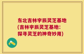 东北吉林宇辰灵芝基地(吉林宇辰灵芝基地：探寻灵芝的神奇妙用)