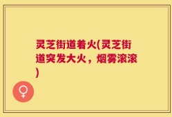 灵芝街道着火(灵芝街道突发大火，烟雾滚滚)