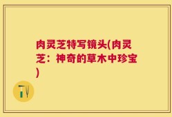 肉灵芝特写镜头(肉灵芝：神奇的草木中珍宝)
