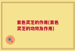 紫色灵芝的作用(紫色灵芝的功效及作用)