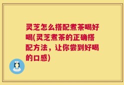 灵芝怎么搭配煮茶喝好喝(灵芝煮茶的正确搭配方法，让你尝到好喝的口感)