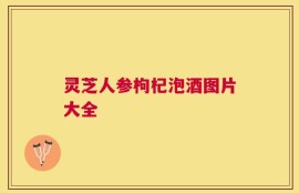 灵芝人参枸杞泡酒图片大全