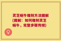 灵芝蜗牛雕刻方法图解(图解：如何雕刻灵芝蜗牛，完整步骤传授)