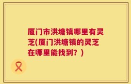 厦门市洪塘镇哪里有灵芝(厦门洪塘镇的灵芝在哪里能找到？)