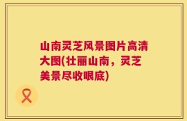 山南灵芝风景图片高清大图(壮丽山南，灵芝美景尽收眼底)