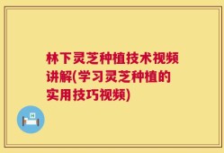 林下灵芝种植技术视频讲解(学习灵芝种植的实用技巧视频)