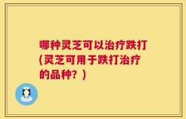 哪种灵芝可以治疗跌打(灵芝可用于跌打治疗的品种？)