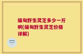 缅甸野生灵芝多少一斤啊(缅甸野生灵芝价格详解)