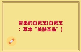 冒出的白灵芝(白灵芝：草本“美肤圣品”)