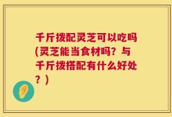 千斤拨配灵芝可以吃吗(灵芝能当食材吗？与千斤拨搭配有什么好处？)
