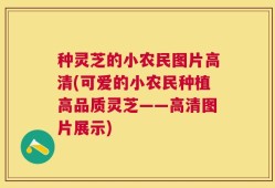 种灵芝的小农民图片高清(可爱的小农民种植高品质灵芝——高清图片展示)